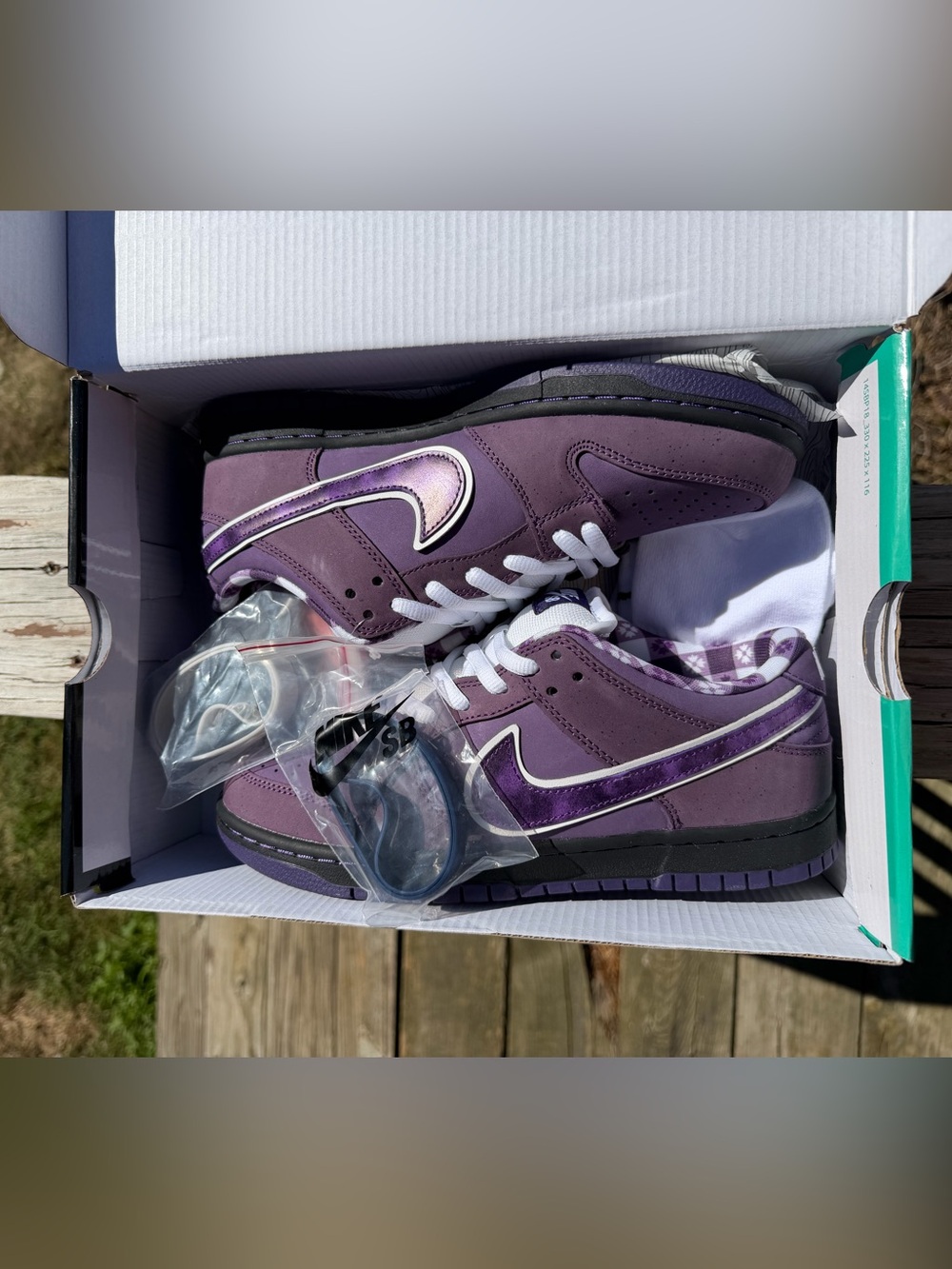 1of1 Nike SB Dunk Low Purple Lobster – Size 8.5 – Brand New